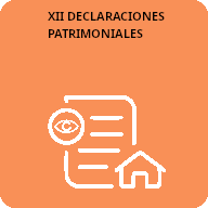 12 Declaraciones Patrimoniales