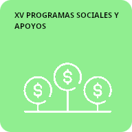 15 Programas sociales y apoyos