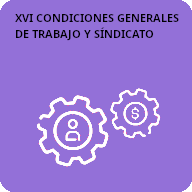 16 Condiciones generales de trabajo y Sindicato