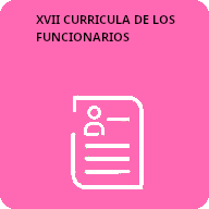17 Curricula de los funcionarios