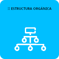 2 Estructura Organica