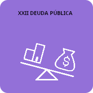 22 Deuda publica