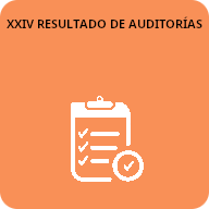 24 Resultados de auditorias