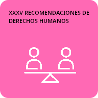 35 Recomendaciones de derechos humanos