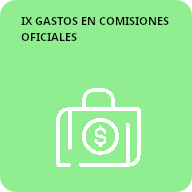 9 Gastos de representacion y viaticos