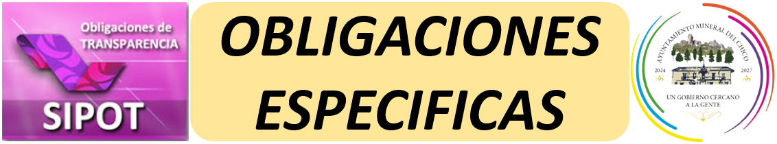 Obligaciones especificas