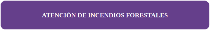 ATENCION DE INCENDIOS FORESTALES