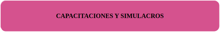 CAPACITACIONES Y SIMULACROS